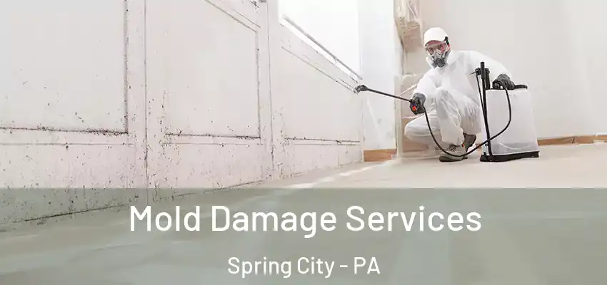 Mold Damage Services Spring City - PA