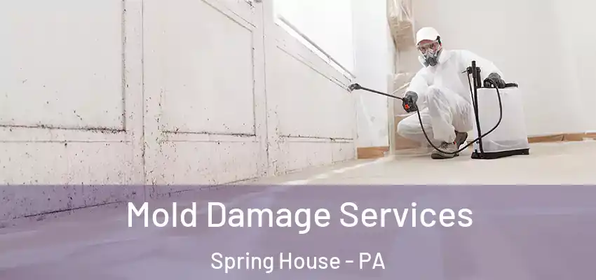Mold Damage Services Spring House - PA