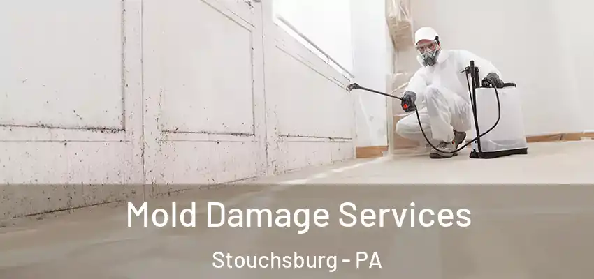Mold Damage Services Stouchsburg - PA