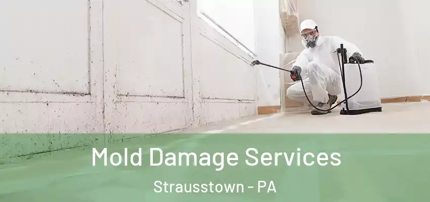  Mold Damage Services Strausstown - PA