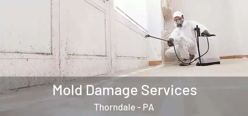 Mold Damage Services Thorndale - PA