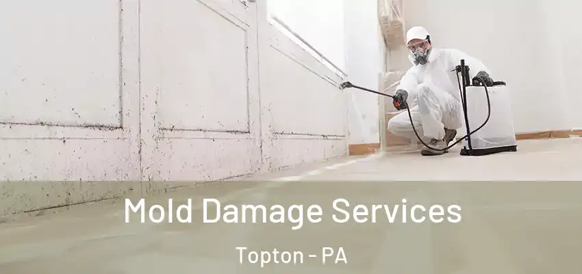 Mold Damage Services Topton - PA