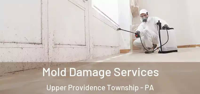  Mold Damage Services Upper Providence Township - PA