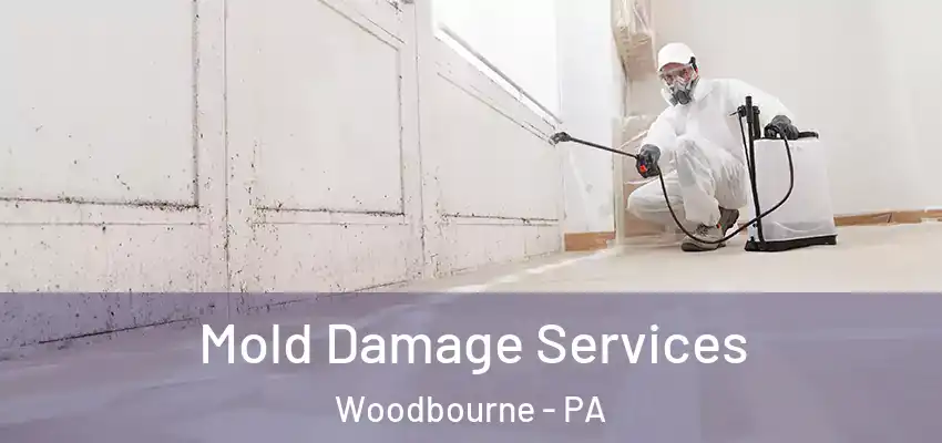 Mold Damage Services Woodbourne - PA