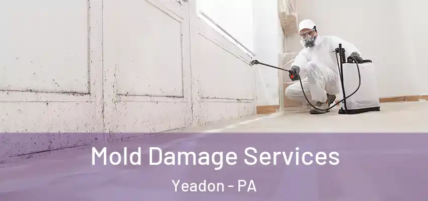 Mold Damage Services Yeadon - PA