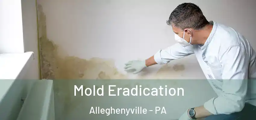 Mold Eradication Alleghenyville - PA