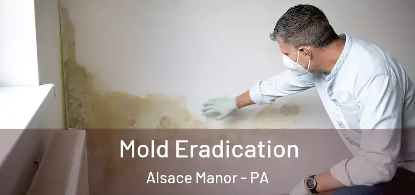 Mold Eradication Alsace Manor - PA