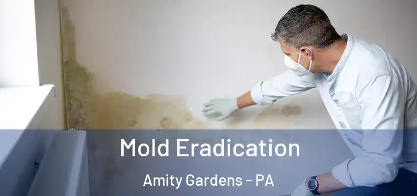 Mold Eradication Amity Gardens - PA