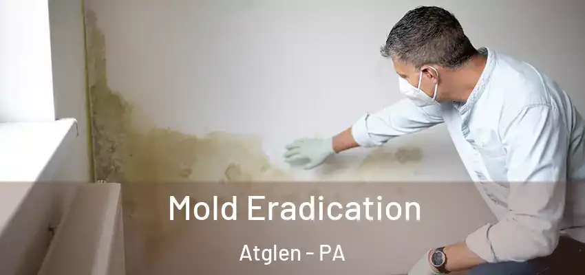 Mold Eradication Atglen - PA