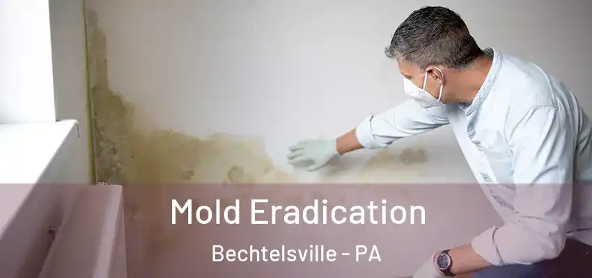 Mold Eradication Bechtelsville - PA
