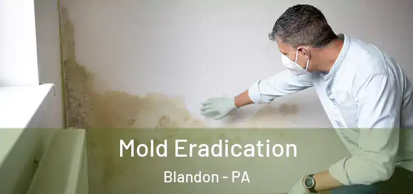 Mold Eradication Blandon - PA
