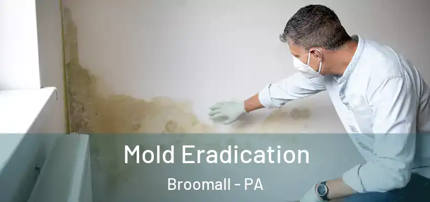 Mold Eradication Broomall - PA