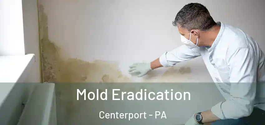  Mold Eradication Centerport - PA