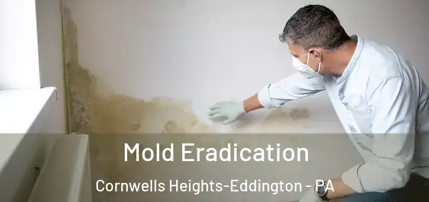  Mold Eradication Cornwells Heights-Eddington - PA