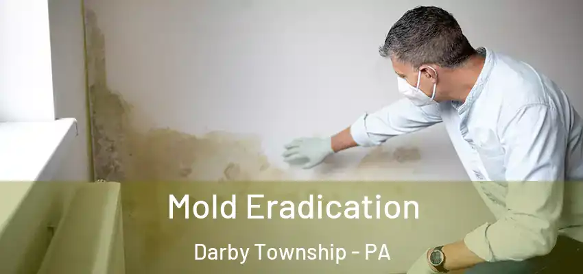 Mold Eradication Darby Township - PA