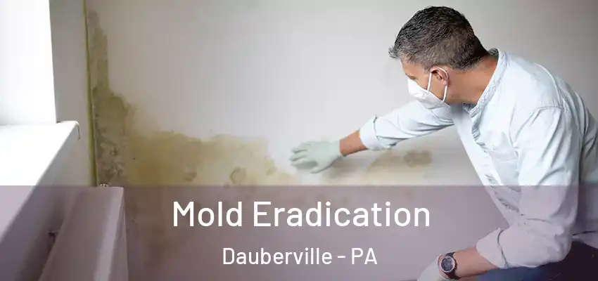  Mold Eradication Dauberville - PA