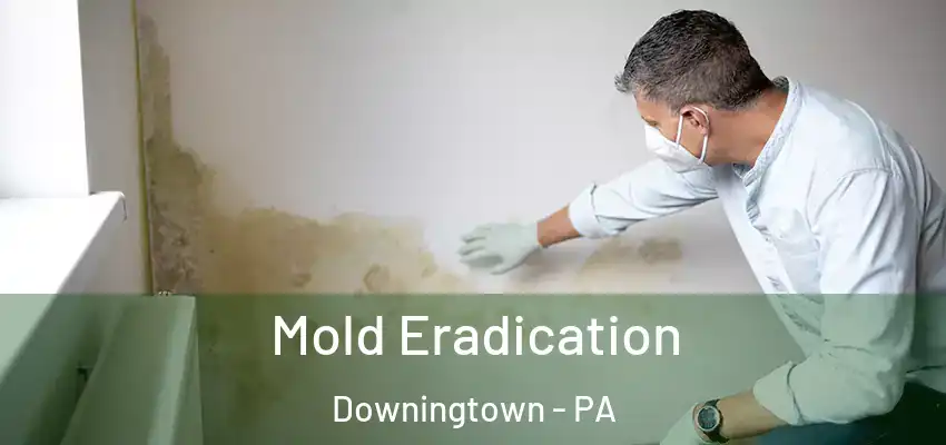 Mold Eradication Downingtown - PA