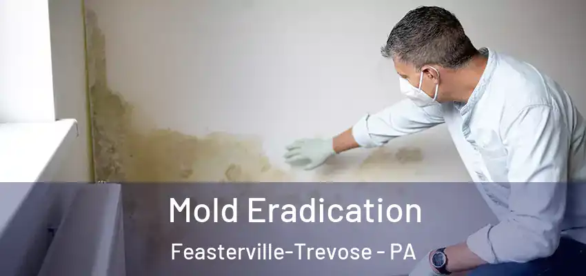 Mold Eradication Feasterville-Trevose - PA