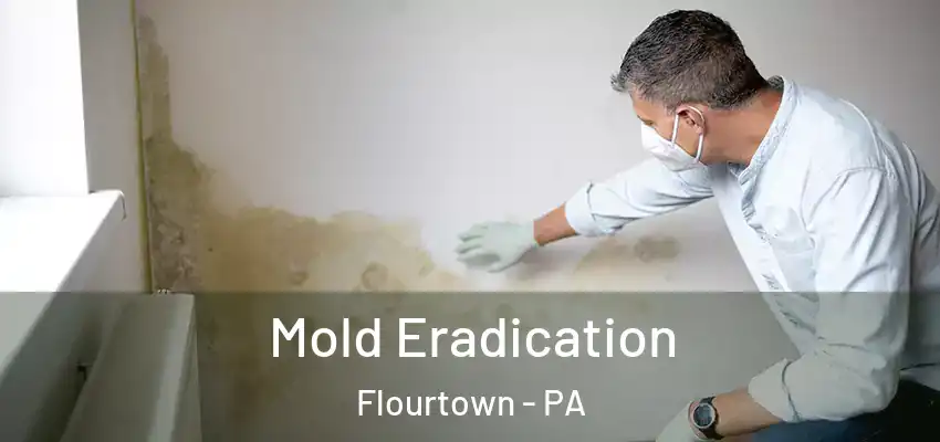 Mold Eradication Flourtown - PA