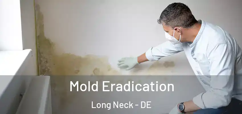 Mold Eradication Long Neck - DE