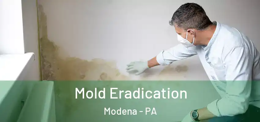 Mold Eradication Modena - PA