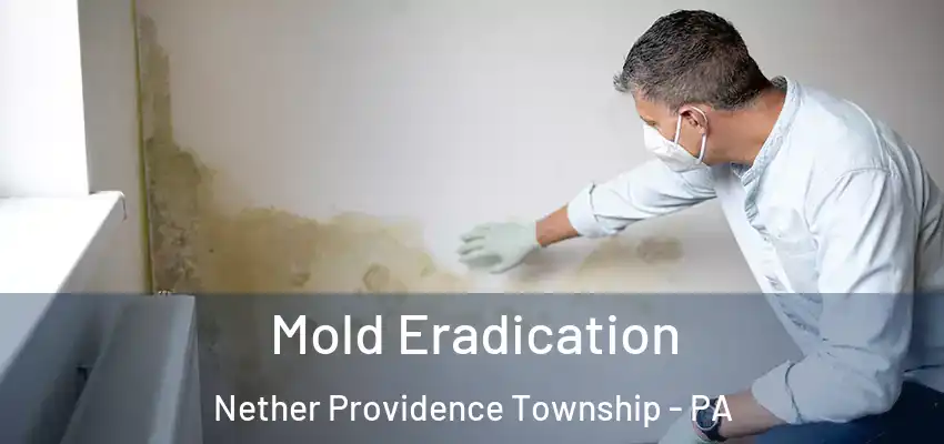  Mold Eradication Nether Providence Township - PA