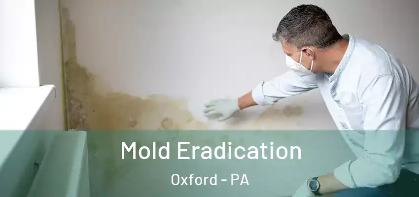  Mold Eradication Oxford - PA