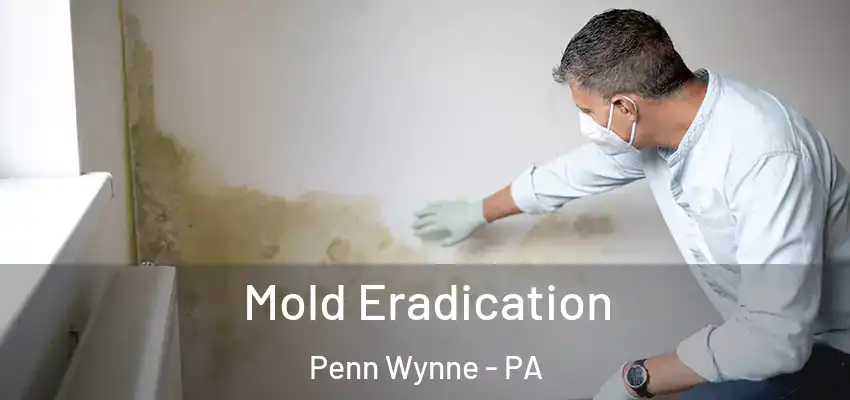 Mold Eradication Penn Wynne - PA