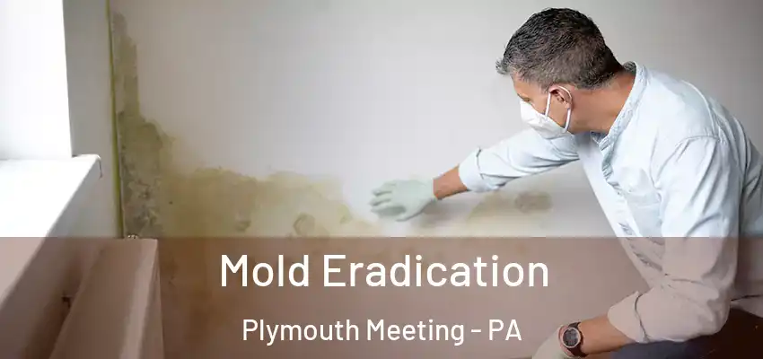 Mold Eradication Plymouth Meeting - PA