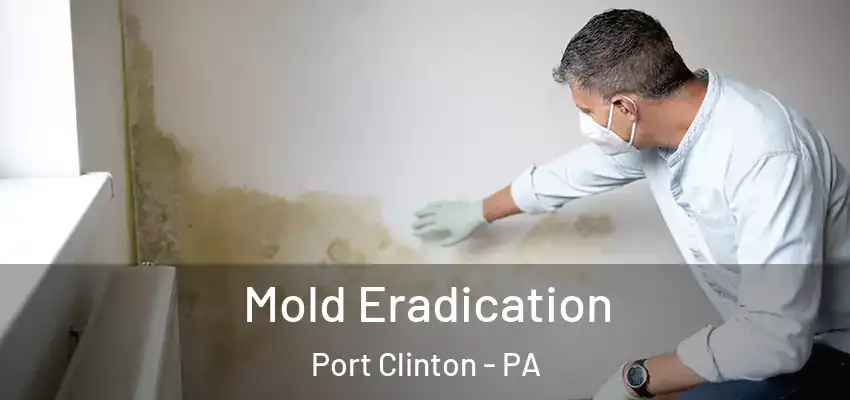  Mold Eradication Port Clinton - PA