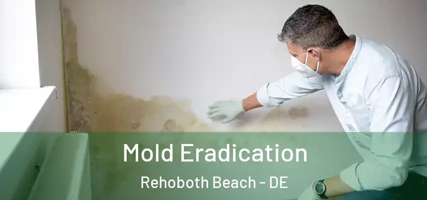 Mold Eradication Rehoboth Beach - DE