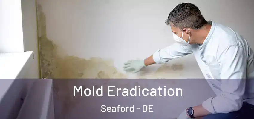 Mold Eradication Seaford - DE