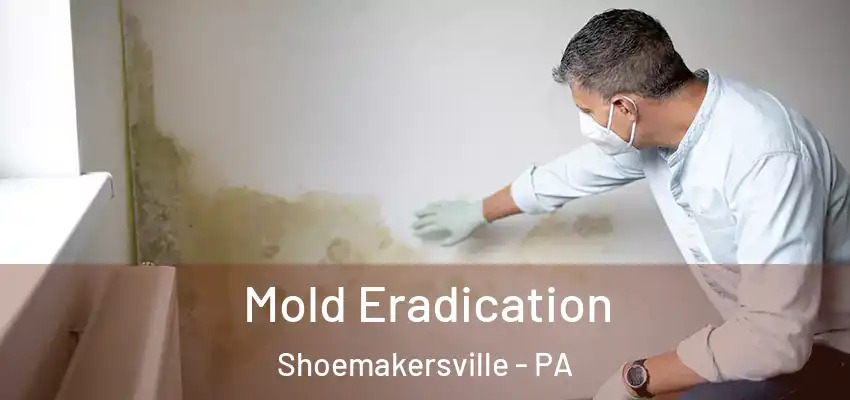Mold Eradication Shoemakersville - PA