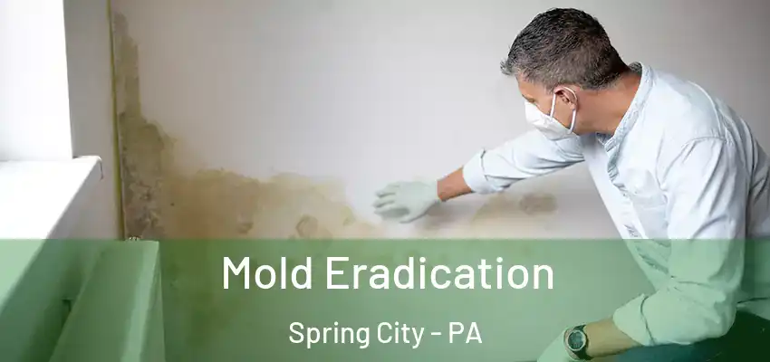 Mold Eradication Spring City - PA