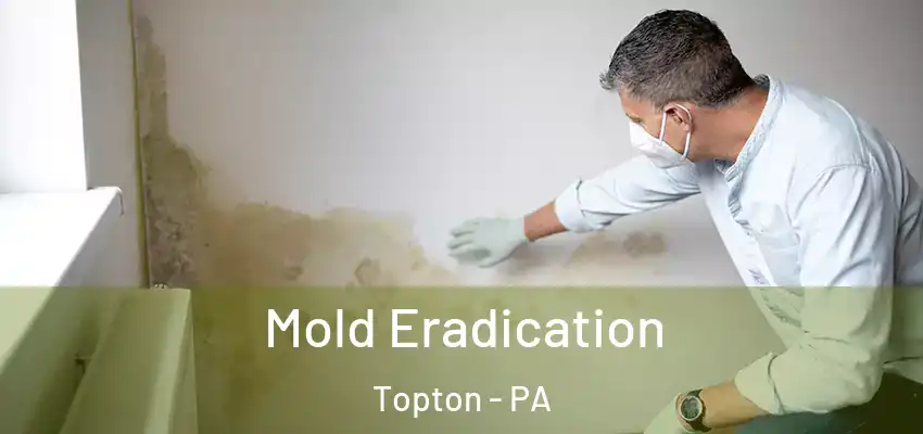 Mold Eradication Topton - PA