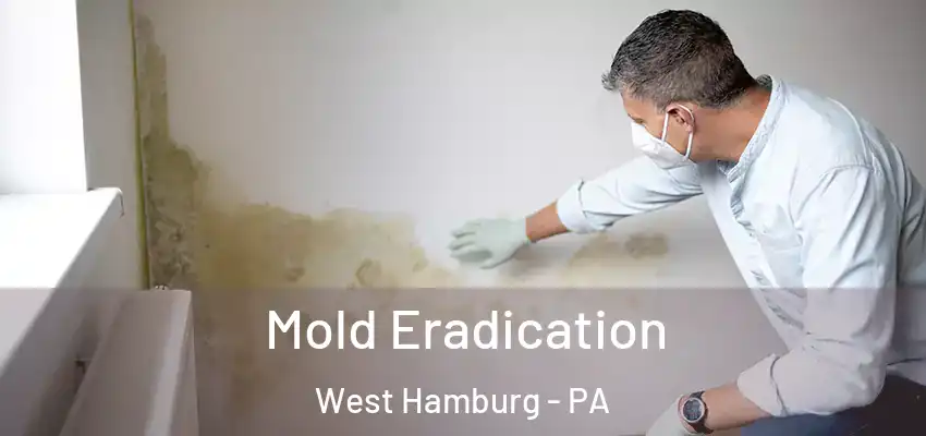  Mold Eradication West Hamburg - PA