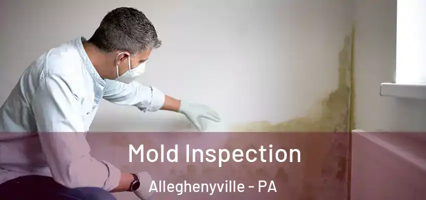 Mold Inspection Alleghenyville - PA