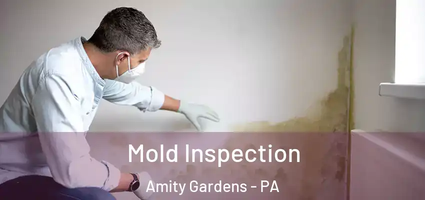 Mold Inspection Amity Gardens - PA