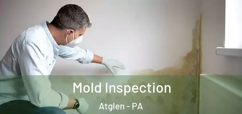 Mold Inspection Atglen - PA
