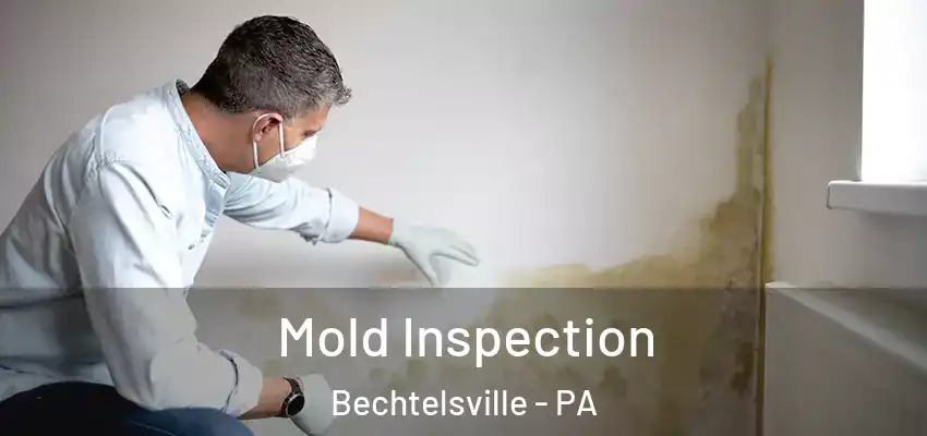 Mold Inspection Bechtelsville - PA