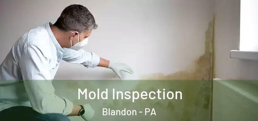 Mold Inspection Blandon - PA