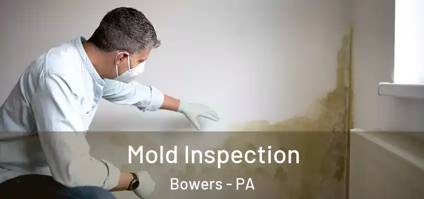 Mold Inspection Bowers - PA