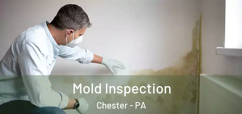 Mold Inspection Chester - PA