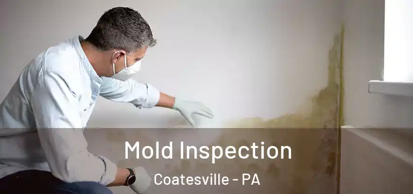 Mold Inspection Coatesville - PA