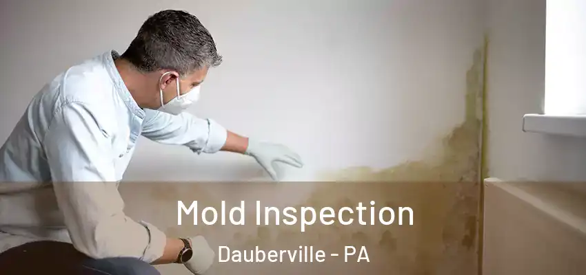 Mold Inspection Dauberville - PA
