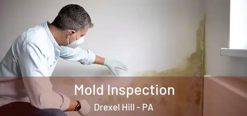 Mold Inspection Drexel Hill - PA