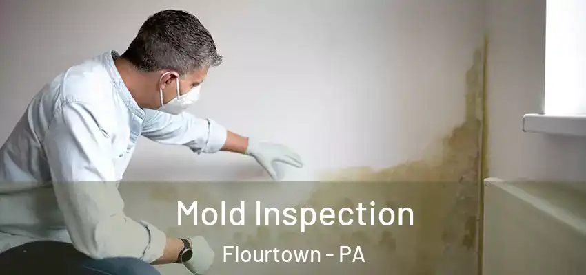 Mold Inspection Flourtown - PA
