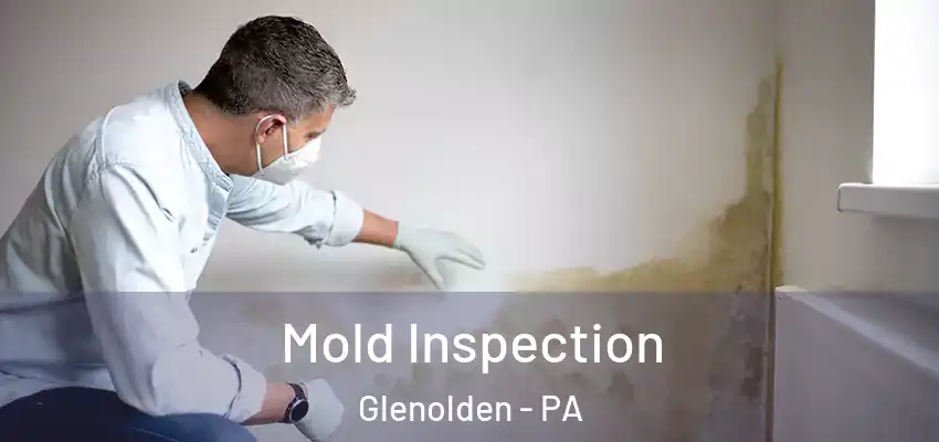  Mold Inspection Glenolden - PA