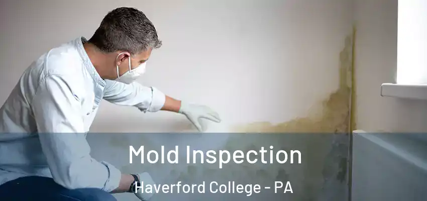  Mold Inspection Haverford College - PA