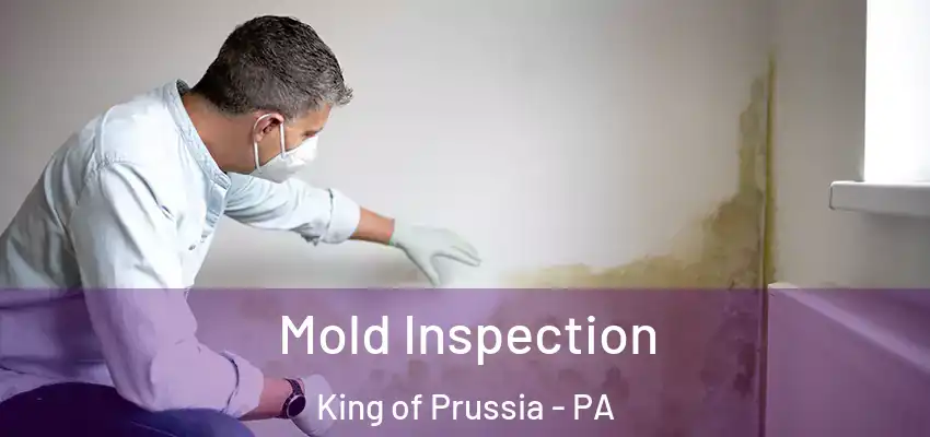 Mold Inspection King of Prussia - PA